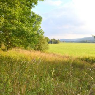 Prodej ostatních pozemků 8040 m&sup2; Borová Lada