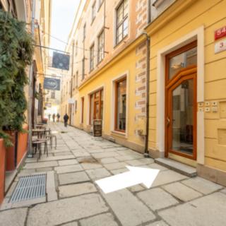 Pronájem bytu 3+kk 100 m² České Budějovice, Plachého