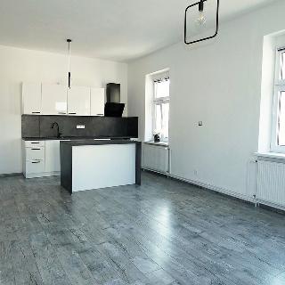 Pronájem bytu 3+kk 60 m² České Budějovice, Reinerova