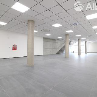 Pronájem obchodu 690 m² Brno, 