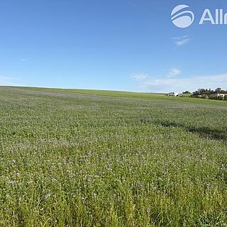 Prodej ostatních pozemků 2477 m&sup2; Bílovec