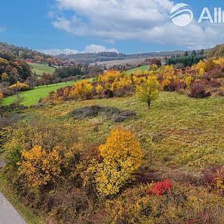 Prodej ostatních pozemků 3334 m&sup2; Osvětimany