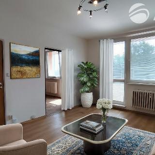 Prodej bytu 2+1 59 m² Brno, Barvy