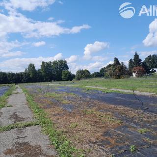 Pronájem zemědělské půdy 3 000 m² Brno, 