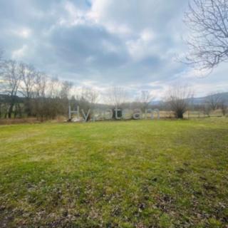 Prodej ostatních pozemků 1006 m² Velké Chvojno