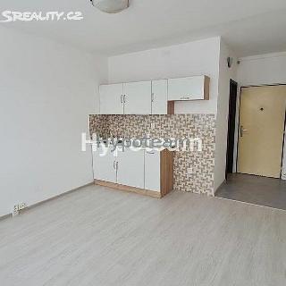 Pronájem bytu 1+kk a garsoniéry 19 m² Ústí nad Labem, Pod Parkem