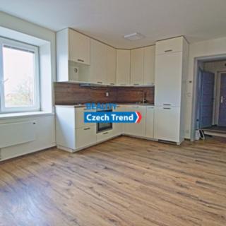 Pronájem bytu 1+kk, garsoniery 297 m² Velký Týnec