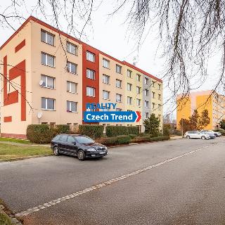 Pronájem bytu 3+1 63 m² Olomouc, Ručilova