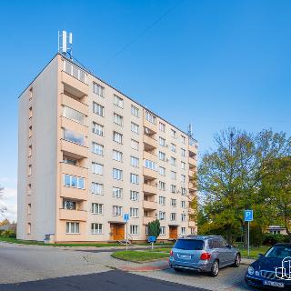 Prodej bytu 2+1 63 m² Nové Sedlo, Revoluční