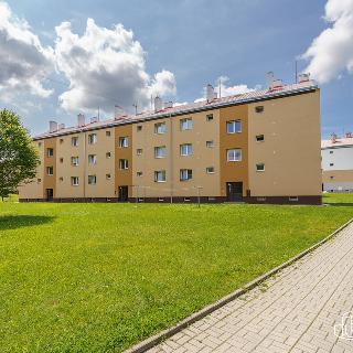 Prodej bytu 2+1 50 m² Horní Slavkov, Dlouhá