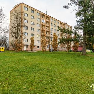 Prodej bytu 2+1 60 m² Chodov, Revoluční