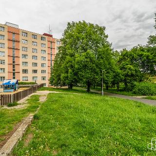 Prodej bytu 3+1 67 m² Sokolov