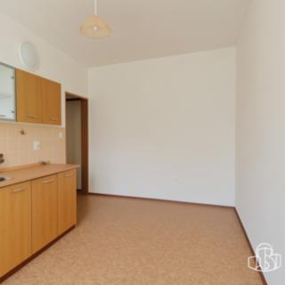 Pronájem bytu 1+1 48 m² Březová, Okružní