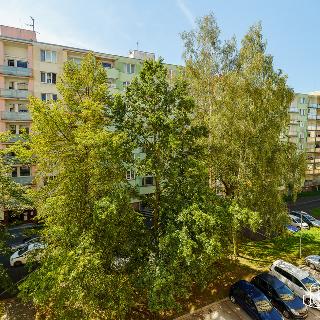 Prodej bytu 2+1 64 m² Sokolov, Švabinského