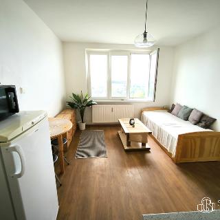 Pronájem bytu 1+kk a garsoniéry 21 m² Sokolov, Švabinského