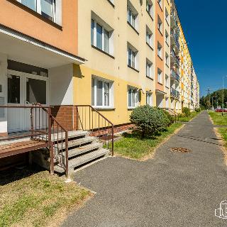 Prodej bytu 3+1 67 m² Sokolov, Mánesova