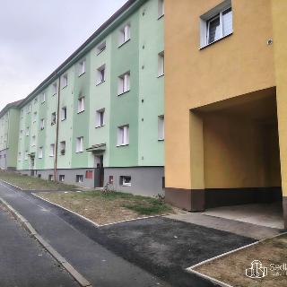 Pronájem bytu 2+1 57 m² Sokolov, Plzeňská