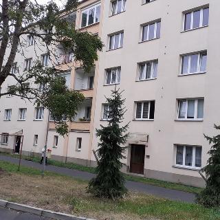 Pronájem bytu 1+1 38 m² Rotava, Sídliště