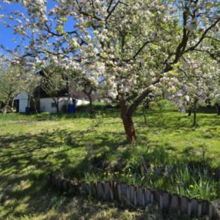Prodej zahrady 501 m² Těšovice, 