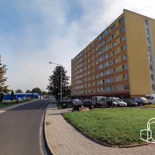 Pronájem bytu 1+1 39 m² Sokolov, Závodu míru