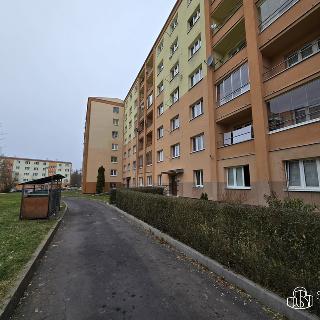 Pronájem bytu 1+1 36 m² Chodov, Vítězná