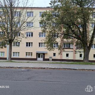 Pronájem bytu 1+1 38 m² Rotava, Sídliště