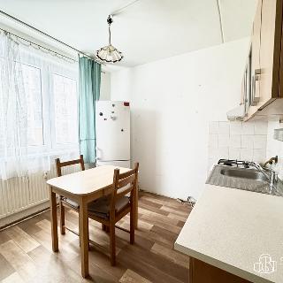 Pronájem bytu 1+1 40 m² Sokolov, Křížová