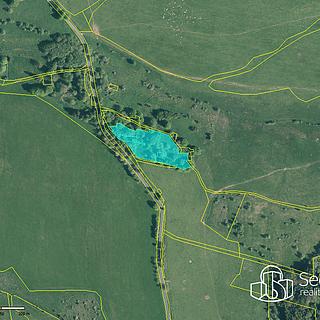 Prodej ostatních pozemků 8130 m² Rovná
