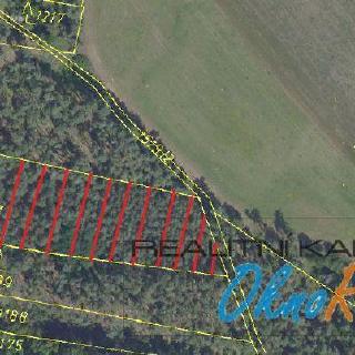Prodej lesa 15 009 m² Kostelní Lhota