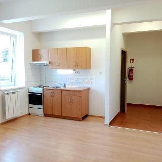 Pronájem bytu 1+kk a garsoniéry 27 m² Adamov, Nádražní