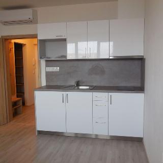 Pronájem bytu 1+kk a garsoniéry 30 m² Brno, Tilhonova