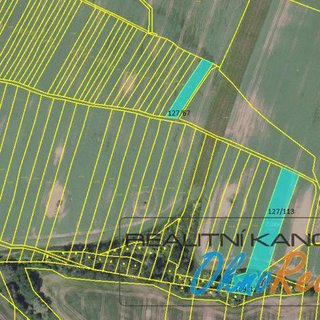 Prodej zemědělské půdy 2 073 m² Mutějovice, Na Rybníčku