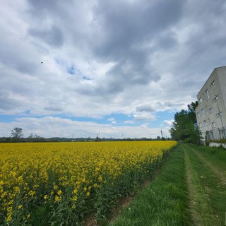 Prodej komerčního pozemku 8 351 m² Brno, Hněvkovského