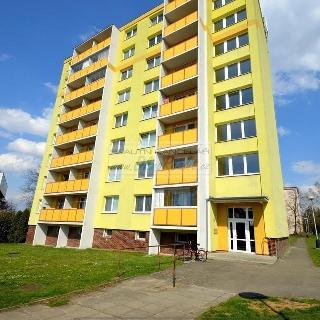 Pronájem bytu 1+1 41 m² Přerov, Dvořákova