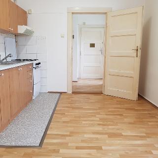 Pronájem bytu 1+1 48 m² Praha, Za žižkovskou vozovnou