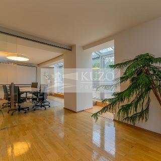 Prodej rodinného domu 331 m² Praha, Údolní