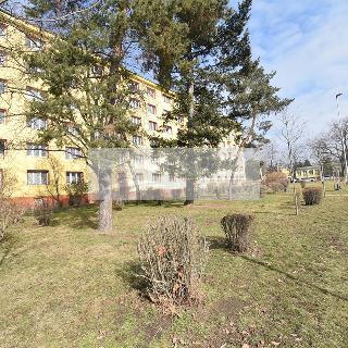 Prodej bytu 1+kk a garsoniéry 22 m² Praha, Mochovská