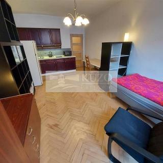 Pronájem bytu 1+kk a garsoniéry 25 m² Praha, Kamenická