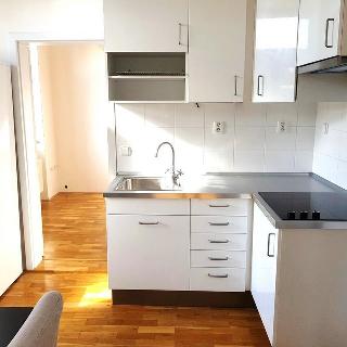 Pronájem bytu 2+1 48 m² Praha, Braunerova