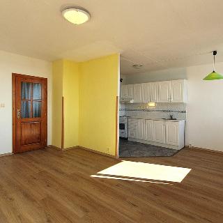 Pronájem bytu 3+kk 57 m² Praha, U zeleného ptáka