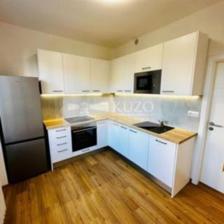 Pronájem bytu 2+1 59 m² Brno