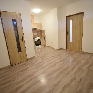 Pronájem bytu 1+1 42 m² Březová