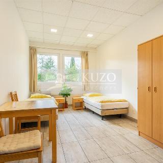 Pronájem hotelu a penzionu 574 m² Plzeň, K Papírně