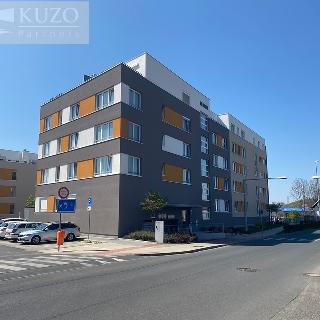 Prodej bytu 2+kk 51 m² Praha, Františka Diviše