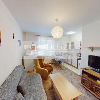 Pronájem bytu 1+kk a garsoniéry 21 m² Příbram, S. K. Neumanna