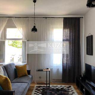 Prodej bytu 1+kk a garsoniéry 46 m² Karlovy Vary, Sadová