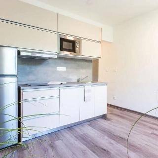 Pronájem bytu 1+kk a garsoniéry 20 m² Brno, Střední