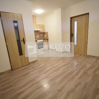 Pronájem bytu 1+1 42 m² Březová