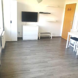 Pronájem bytu 1+kk a garsoniéry 22 m² Praha, Konojedská