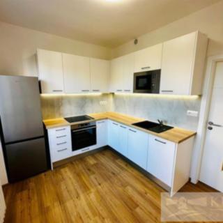 Pronájem bytu 2+1 59 m² Brno